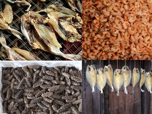 KINKAI, лидер продаж, сушилка для Customization6-40, рыбы, говядины, консервированного мяса, колбасы, морского огурца, сушилка с тепловым насосом - Product Image 6