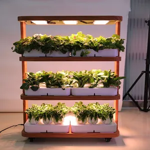 Shenzhen ecológico 120W lleno espectro led luz del Gabinete para invernadero hidropónico, verduras, productos de la agricultura