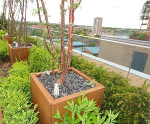 Customized Size Corten Steel Garden <strong>Tree</strong> Planters Metal <strong>Large</strong> Small <strong>Pots</strong> Minimalist Design for Home Nursery Flower Plant <strong>Pot</strong> - Product Image 6