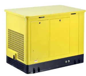 20KW LPG natural gas gasoline generator with ATS