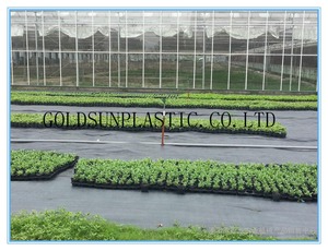 Vườn Ươm PP Dệt Cỏ Dại Dừng <span class=keywords><strong>Mat</strong></span> Đen Pp Vải Cuộn Mặt Đất Bao Gồm Cỏ Dại Kiểm Soát <span class=keywords><strong>Mat</strong></span> - Product Image 4