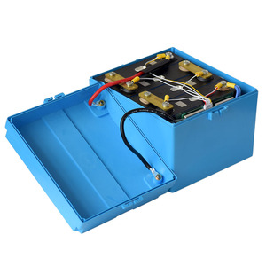 12 v 100ah Zyklen Lifepo4 akku mit BMS für Solar System - Product Image 2