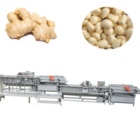 Exportación a Ghana y Omán de Máquina de Lavado de Jengibre y Cúrcuma/Línea de Procesamiento de Limpieza de Ajo