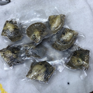 6-7mm <strong>AAA</strong> <strong>Akoya</strong> Near Round Sea Water <strong>Pearl</strong> Oyster With <strong>Pearl</strong>