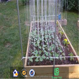 2018 100% NUOVO materiale di Nylon trellis <span class=keywords><strong>rete</strong></span>/plastica arrampicata supporto reti - Product Image 5
