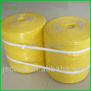 9000D Nông Nghiệp Chuối Chuỗi/Cà Chua <span class=keywords><strong>Raffia</strong></span> Twine <span class=keywords><strong>Pp</strong></span> Baler Twine/<span class=keywords><strong>Pp</strong></span> Splitfilm Twine Đầy Màu Sắc Twine - Product Image 6
