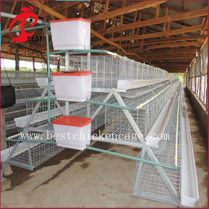 Nouveau design 5 niveaux 200 oiseaux poules pondeuses poulet couche de grillage et chaudière cage avec haute qualité - Product Image 4
