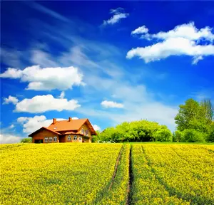 Papel tapiz de campo de verduras amarillas, murales baratos, cielo azul, decoración del hogar, pegatina de pared 3d