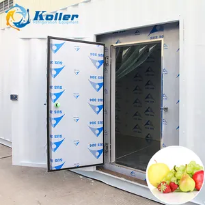 Koller VCR50 Cold Room for ice storage with 50CBM with PU panels with favorable price