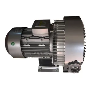 5.5KW Famous Intellectual Side Channel Air Blower Factory Supply