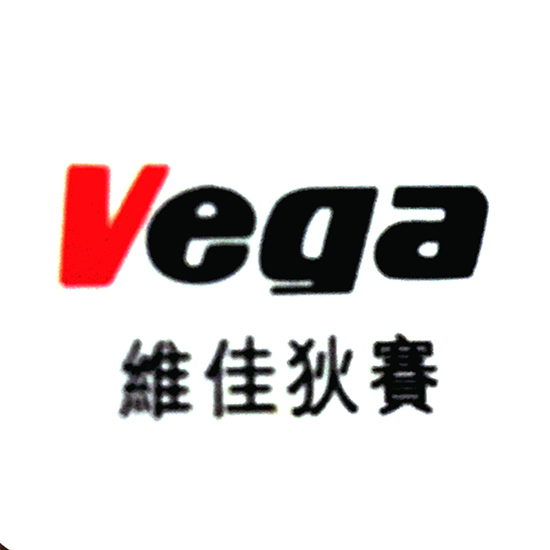 Chongqing Vega Diesel Engineering Company  Ltd. logo