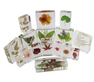 Prensapapeles de Resina con Flores Botánicas, Moldes de Resina para Plantas y Flores, Resina de Silicona y PVC en Venta - Product Image 2