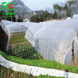 UV gestabiliseerd poly film 200 Micron greenhouse film voor Groen-huis en poly huis