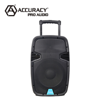 Altavoz Activo con Ruedas Recargable para Exteriores Accuracy Pro Audio PML15AMFQ-V2BP de 15'' y 100W 12V con Dos Micrófonos Inalámbricos