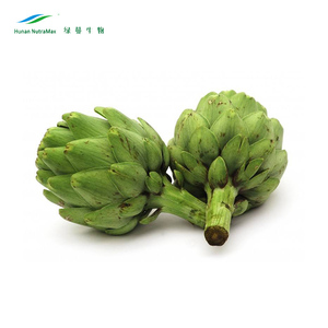 Bột Atisô Khô Thực Phẩm Sức Khỏe Giá Xuất Xưởng Chiết Xuất Axit Chlorogenic 5% - Product Image 1