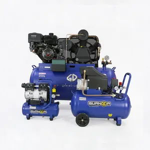 Factory hot selling concurrerende prijs kleine cng compressor