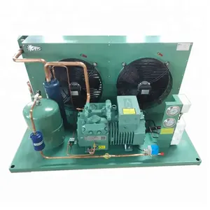 R134a Condensatie Unit Schroef Compressor Industriële Koeleenheid Voor Kip Ontploffingsvriezer In Sri Lanka