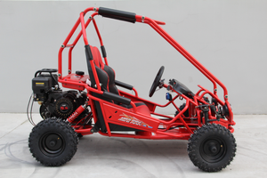 Popular cheap 2 seat racing <strong>go</strong> <strong>kart</strong> accessories <strong>163cc</strong> 4 stroke for kids sw rear disc brake auto clutch - Product Image 5