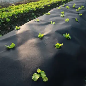 农业UV防护PP可生物降解无纺布杂草垫，用于园艺覆盖，杂草地面覆盖