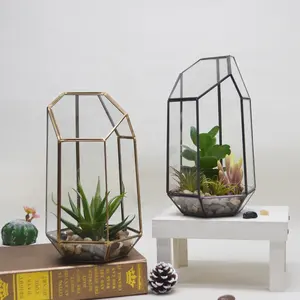 Wonder Geometrische Vorm Glazen Vaas Voor Planten Voor Woonkamer Decoratie Sappige Glazen Vaas Groothandel