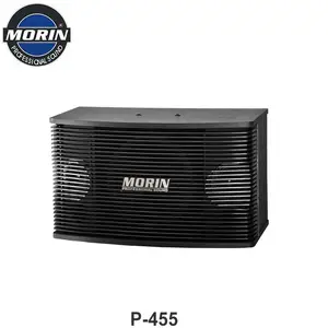 Pa 扬声器系统卡拉ok 声音 10英寸专业扬声器 Morin P-455