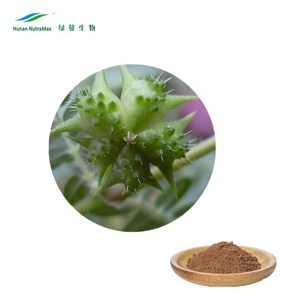 <span class=keywords><strong>Tribulus</strong></span> <span class=keywords><strong>Terrestris</strong></span> สารสกัดจาก90% เป็นกลุ่มผง