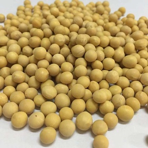 NON-GMO semi di <span class=keywords><strong>Soia</strong></span> Semi di <span class=keywords><strong>Soia</strong></span> - Product Image 6