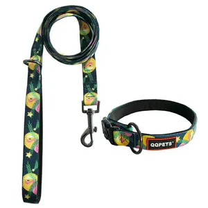 Top sell pet accessories custom thermal transfer print logo superior dog leash and collar