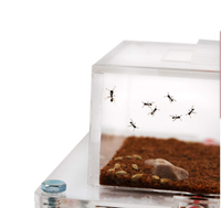 Ferme de fourmis acryliques en gros