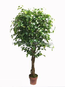 2017 Venta Caliente de Plata de La Decoración de Interior <span class=keywords><strong>Bonsai</strong></span> Ficus Artificiales - Product Image 2