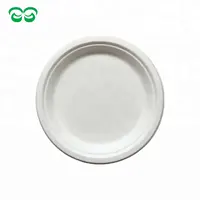 Compostable Bagasse Sugarcane Party Paper Pulp Plate