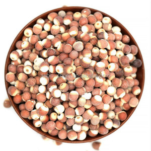 Extracto de Euryale Ferox Salisb de Alta Calidad Estándar GMP, Extracto de Semen Euryales de Grado Alimenticio, Extracto de <span class=keywords><strong>Gordon</strong></span> Euryale en Polvo 100% - Product Image 4