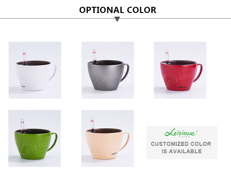 Come immagine o personalizzato