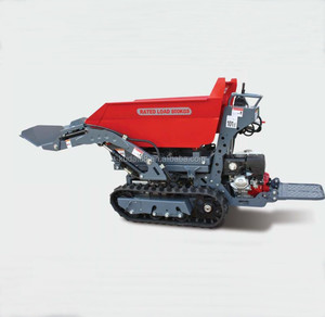 Carretilla Motorizada Hidráulica de Acero Inoxidable de 13 HP para Jardín, Capacidad de Carga de 650 kg, en Oferta - Product Image 1