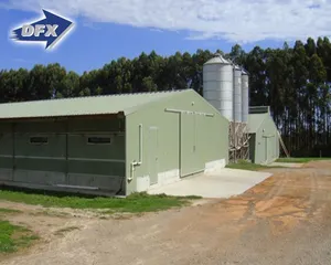 Fast construction steelwork sheds for laying hens