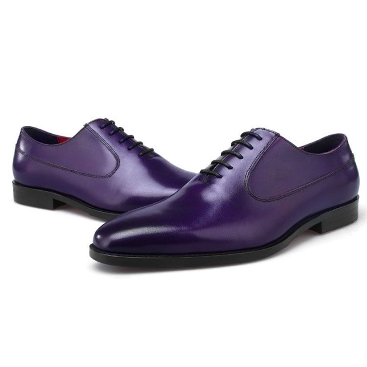 Elegancia atemporal: realza tu estilo con la colección zapatos de