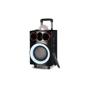 Tragbarer Bass Subwoofer Audio 8 Zoll profession elle aktive DJ-Lautsprecher mit Disco Ball Light