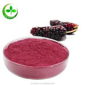 Alta Qualidade Orgânica <span class=keywords><strong>Mulberry</strong></span> Suco Em Pó - Product Image 1
