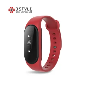 Color OLED Screen ECG PPG HR BP Fitness Tracker