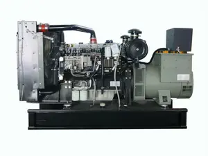 lovol motor diesel alimentado sistema de generador diesel con alternador de stamford