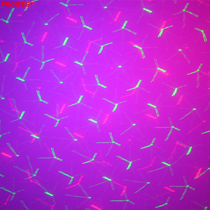 Máy Chiếu <span class=keywords><strong>Laser</strong></span> Hiệu Ứng Đom Đóm <span class=keywords><strong>12V</strong></span> Với Đèn Sân Khấu Led <span class=keywords><strong>RGB</strong></span> - Product Image 3