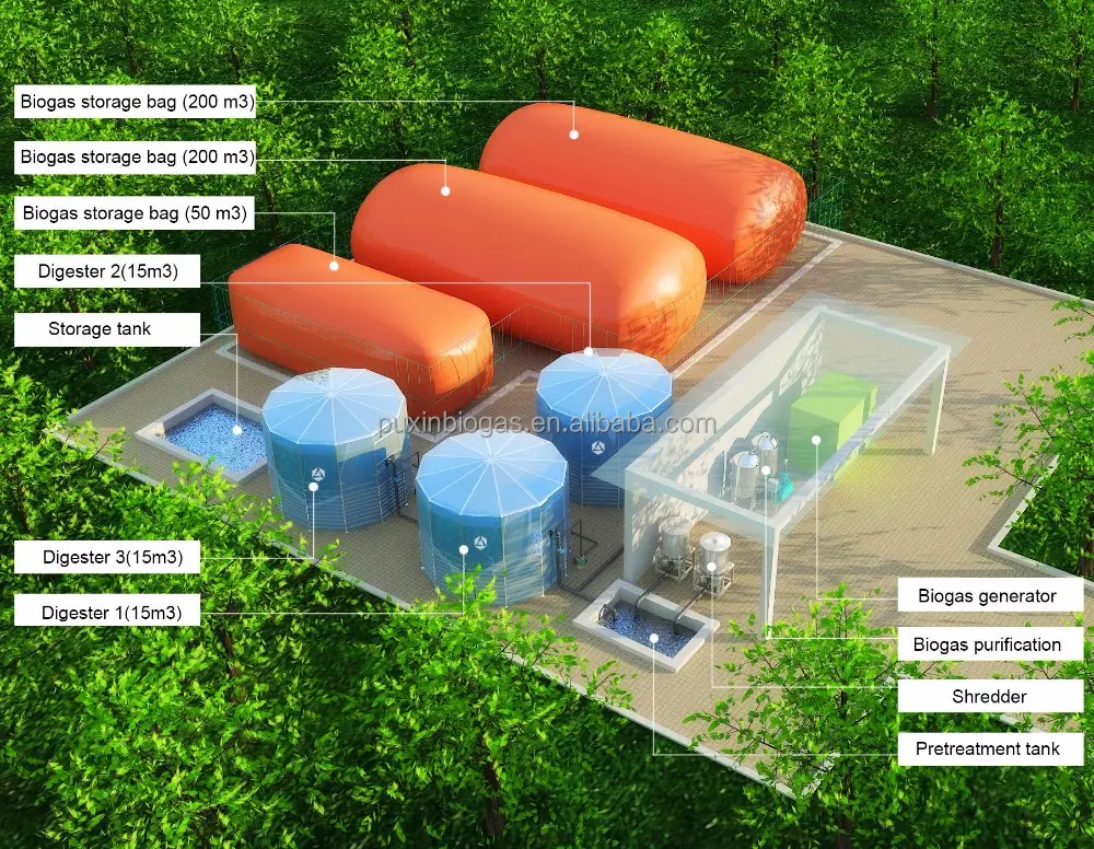 Pabrik Listrik Bio Gas untuk Peternakan Ternak, untuk Mengobati Pupuk Hewan