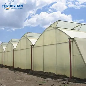 Material para techos de invernadero polivinílico, rollo de cubierta de película de invernadero PE, película de plástico de polietileno para casa verde