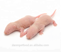 1-3g de souris roses congelées nutritives pour animaux de compagnie, serpents, lézards, grenouilles, tortues, crocodiles, renards, faucons, scinques, araignées, chats, etc.