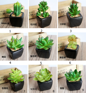 Vendita di Fabbrica <span class=keywords><strong>Piante</strong></span> Succulente <span class=keywords><strong>Artificiali</strong></span> in Vaso Mini <span class=keywords><strong>Piante</strong></span> Succulente Finte in Vaso con Supporto Vendita all'Ingrosso - Product Image 3