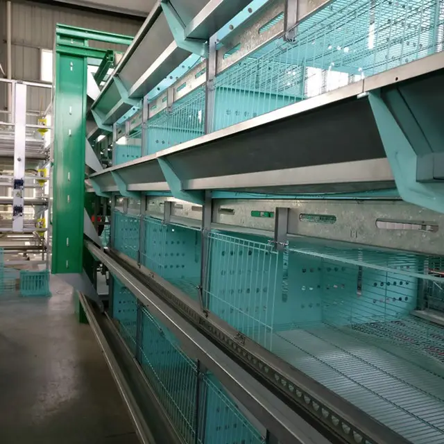 Cage de couveuse automatique de type h, plie à cadre double couche pour élevage de volaille, promotion spéciale