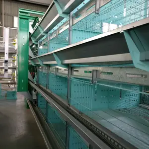 Goede Verkoop Automatische Kip Broedmachine Kooien H Type Frame Laag Kip Kooi Voor Pluimveehouderij