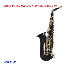 Black Body Alto Saxophone/Saxophones Imported from China