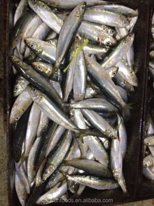 Pescado sardina congelado sardina en conserva - Product Image 3
