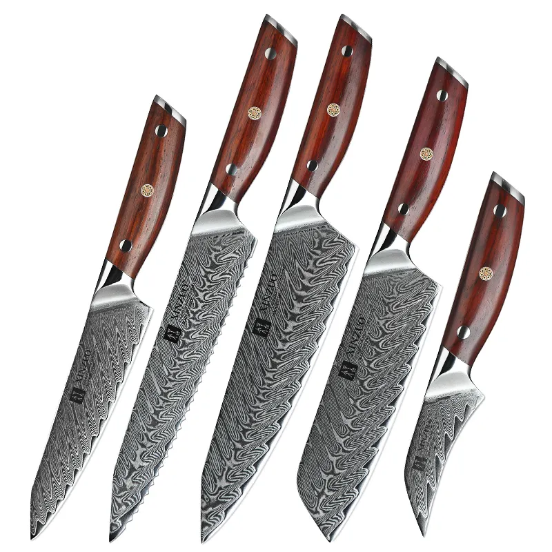 Xinzuo 5 Pcs Professionele Japanse Real Damascus Staal Keuken Chef Mes Set Houten Handvat Messen Fabrikant